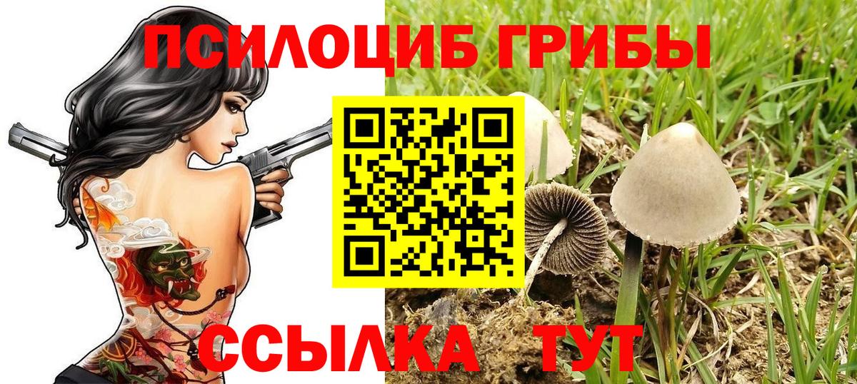 Галлюциногенные грибы Magic Shrooms Норильск