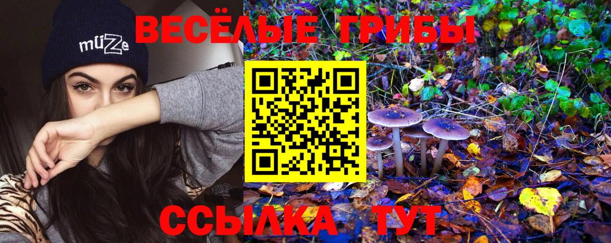Норильск  Псилоцибиновые грибы мицелий  Вход с VPN 